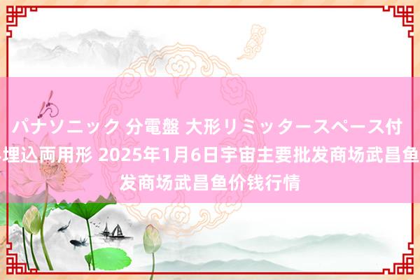 パナソニック 分電盤 大形リミッタースペース付 露出・半埋込両用形 2025年1月6日宇宙主要批发商场武昌鱼价钱行情