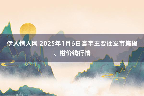 伊人情人网 2025年1月6日寰宇主要批发市集橘、柑价钱行情