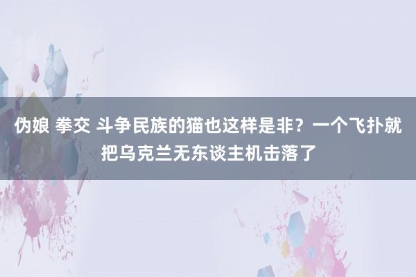 伪娘 拳交 斗争民族的猫也这样是非？一个飞扑就把乌克兰无东谈主机击落了