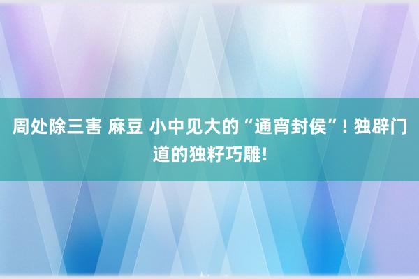 周处除三害 麻豆 小中见大的“通宵封侯”! 独辟门道的独籽巧雕!