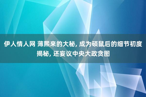 伊人情人网 薄熙来的大秘， 成为硕鼠后的细节初度揭秘， 还妄议中央大政贪图