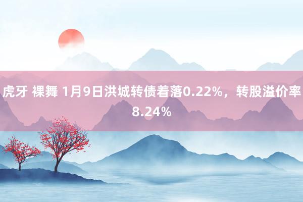 虎牙 裸舞 1月9日洪城转债着落0.22%，转股溢价率8.24%