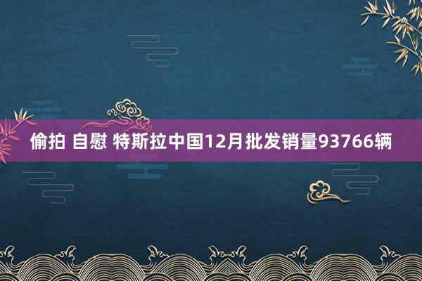 偷拍 自慰 特斯拉中国12月批发销量93766辆