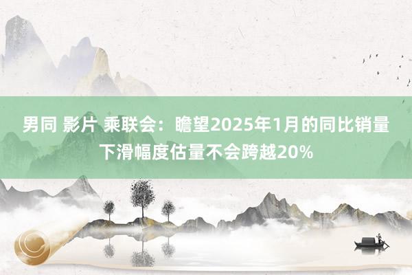 男同 影片 乘联会：瞻望2025年1月的同比销量下滑幅度估量不会跨越20%