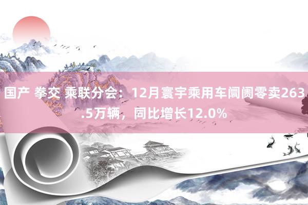 国产 拳交 乘联分会：12月寰宇乘用车阛阓零卖263.5万辆，同比增长12.0%