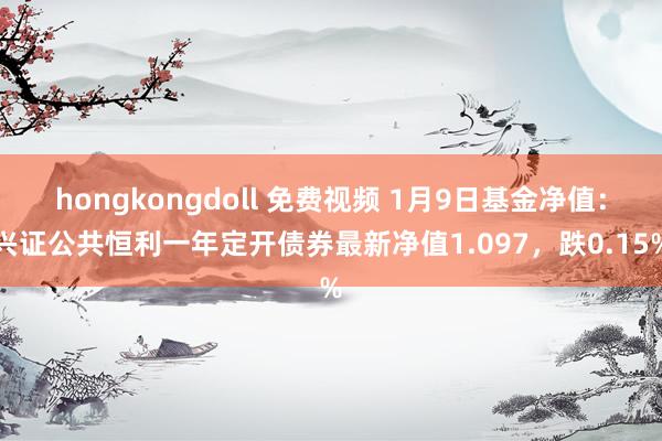 hongkongdoll 免费视频 1月9日基金净值：兴证公共恒利一年定开债券最新净值1.097，跌0.15%