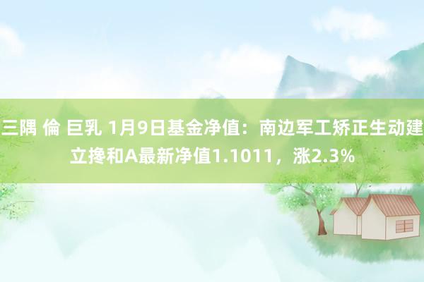 三隅 倫 巨乳 1月9日基金净值：南边军工矫正生动建立搀和A最新净值1.1011，涨2.3%