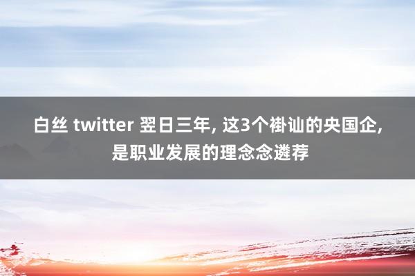 白丝 twitter 翌日三年， 这3个褂讪的央国企， 是职业发展的理念念遴荐