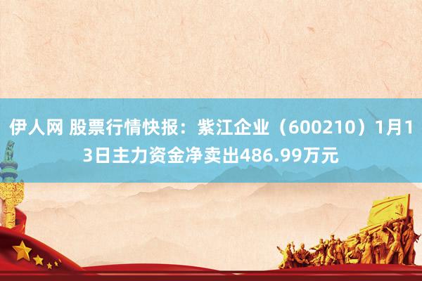 伊人网 股票行情快报：紫江企业（600210）1月13日主力资金净卖出486.99万元