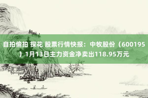 自拍偷拍 探花 股票行情快报：中牧股份（600195）1月13日主力资金净卖出118.95万元