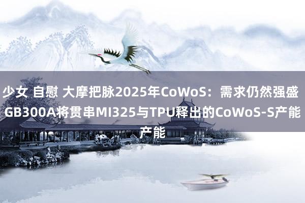 少女 自慰 大摩把脉2025年CoWoS：需求仍然强盛 GB300A将贯串MI325与TPU释出的CoWoS-S产能