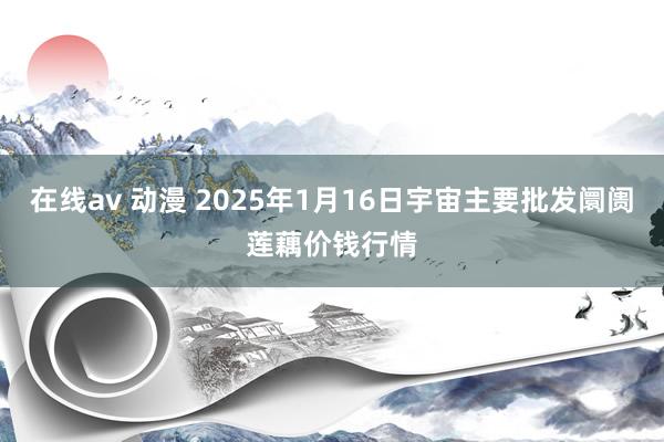 在线av 动漫 2025年1月16日宇宙主要批发阛阓莲藕价钱行情